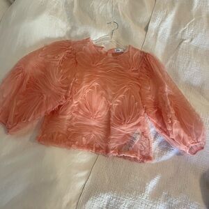 Zara  Puff Sleeve Top